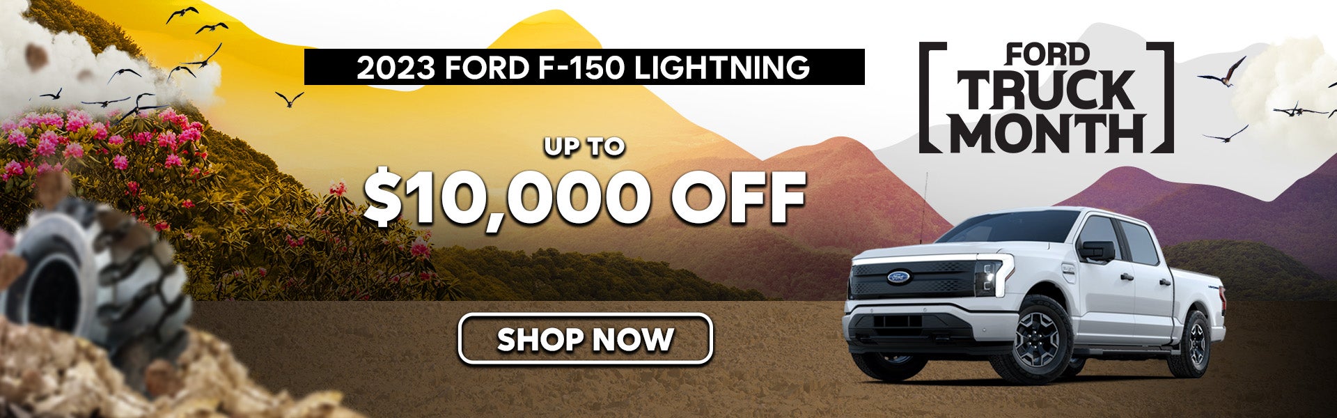 2023 Ford F-150 Lightning Special Offer
